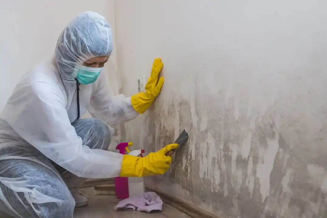 water damage restoration service Brimfield